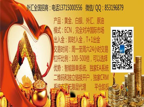 優(yōu)匯金融服務 天津探蝌的定制化金融解決方案